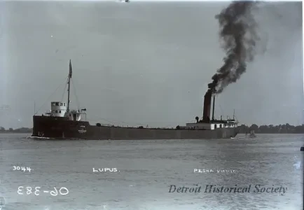 Negative, Glass-plate