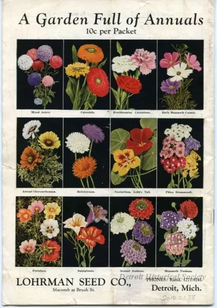 Catalog - 1930 Annual