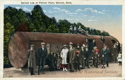 Postcard - Spruce Log at Palmer Park, Detroit, Mich.