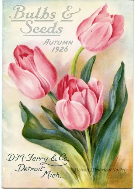 Catalog - Bulbs & Seeds Autumn 1926