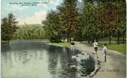 Postcard - Feeding the Swans, Palmer Park, Detroit, Mich.