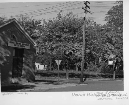 Print, Photographic - Field E Detroit; St Paul, Townsend; Treehouse 9:00 AM