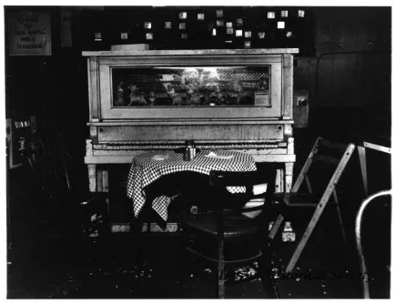 Print, Photographic - Bar Piano