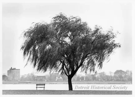 Print, Photographic - Belle Isle