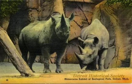 Postcard - Rhinoceros Exhibit at Zoological Park, Detroit, Mich.