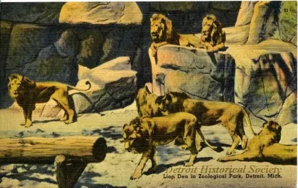 Postcard - Lion Den in Zoological Park, Detroit, Mich.