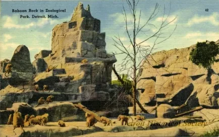 Postcard - Baboon Rock in Zoological Park, Detroit, Mich.