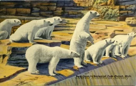 Postcard - Bear Dens in Zoological Park, Detroit, Mich.