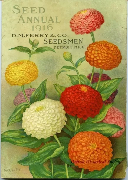 Catalog - Seed Annual, 1916