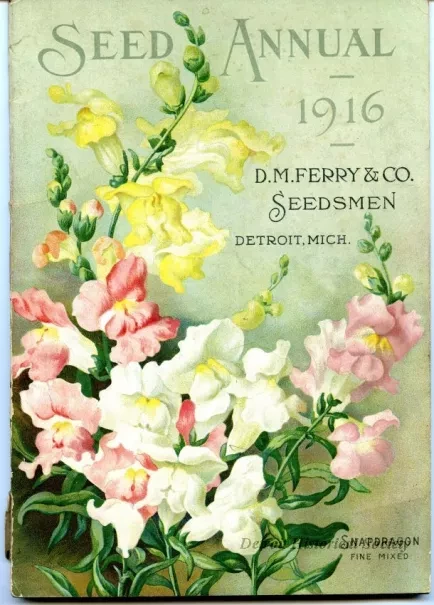 Catalog - Seed Annual, 1916
