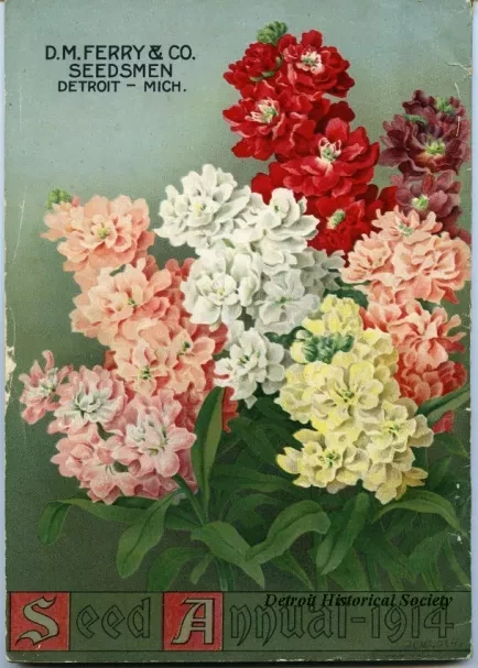 Catalog - Seed Annual, 1914