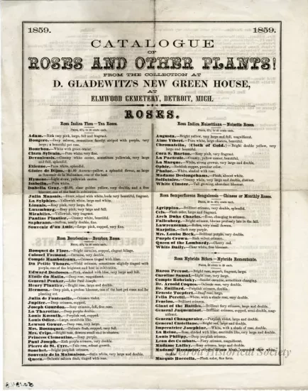 Catalog - Catalogue of Roses and Other Plants! From the Collection at D. Gladewitz's New Green House at Elmwood Cemetery, Detroit, Mich.