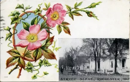Postcard - Street Scene, Rochester, Mich.