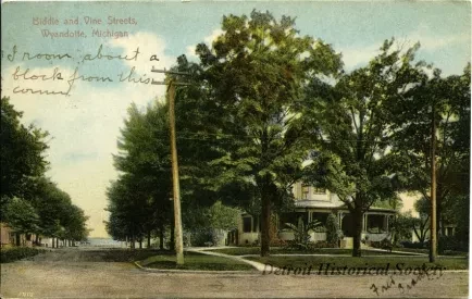 Postcard - Biddle and Vine Streets, Wyandotte, Mich.