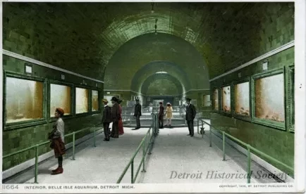 Postcard - Interior, Belle Isle Aquarium, Detroit, Mich.