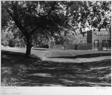 Print, Photographic - Elmwood Cemetery, looking southeast