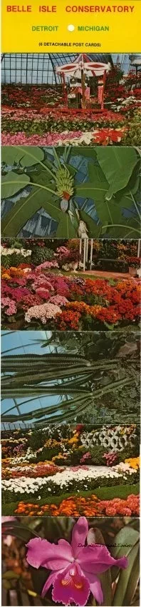 Postcard - Belle Isle Conservatory, Detroit, Michigan