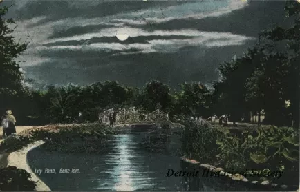 Postcard - Lily Pond, Belle Isle.