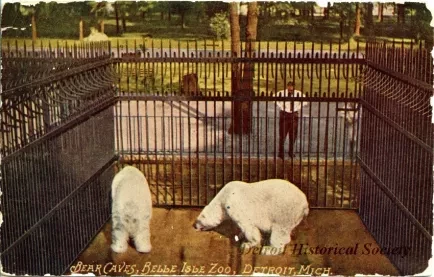 Postcard - Bear Caves, Belle Isle Zoo, Detroit, Mich.