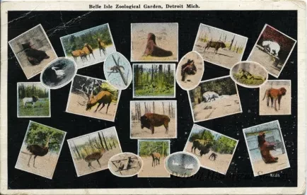 Postcard - Belle Isle Zoological Garden, Detroit, Mich.