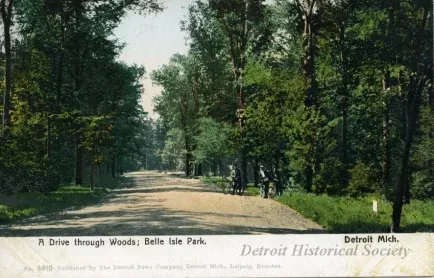 Postcard - A Drive through Woods; Belle Isle Park, Detroit, Mich.