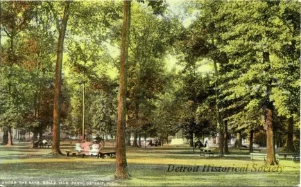 Postcard - Under the Oaks, Belle Isle Park, Detroit, Mich.