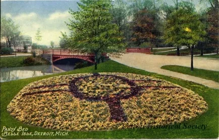 Postcard - Pansy Bed, Belle Isle, Detroit, Mich.