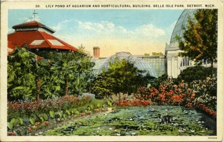 Postcard - Lily Pond at Aquarium and Horticultural Building, Belle Isle Park, Detroit, Mich.