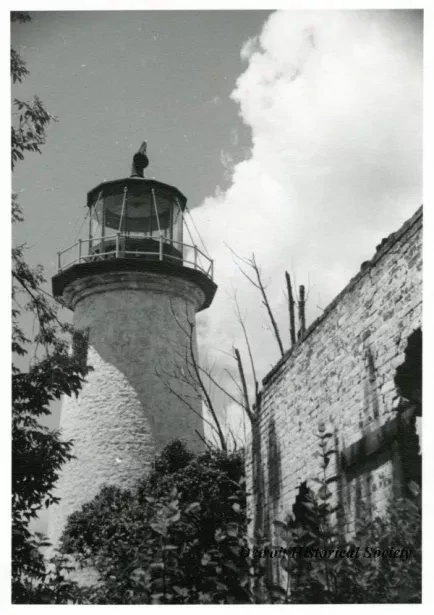 Print, Photographic - On Guard