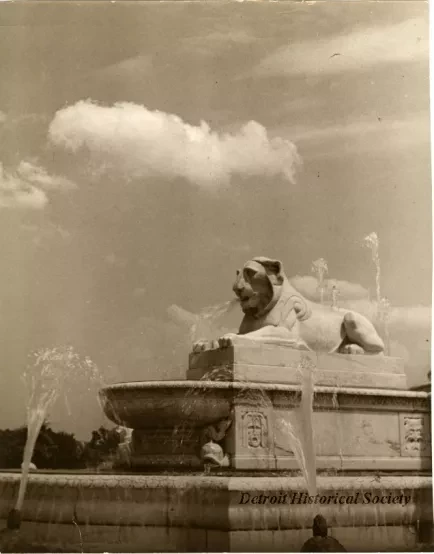 Print, Photographic - Fountain Lion