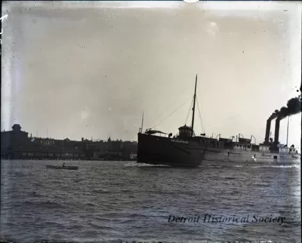 Negative, Glass-plate