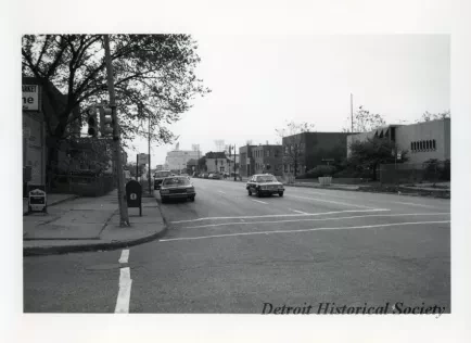Print, Photographic - Tiger Stadium from Temple and Trumbull, Detroit, MI