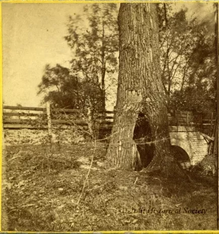 Stereograph - No. 85 Bloody Run