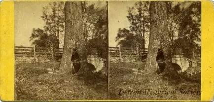 Stereograph - No. 85 Bloody Run