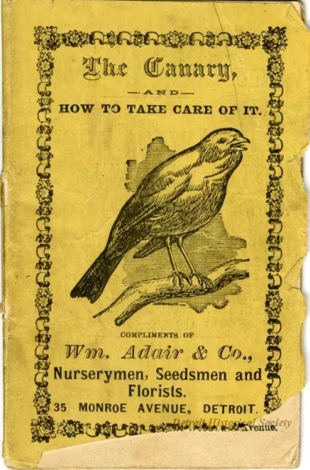 Booklet - The Canary and How to Take Care of It