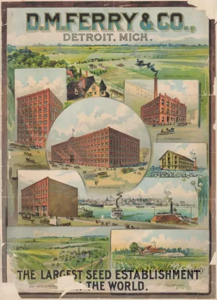 Poster - D. M. Ferry & Co., Detroit, Mich. -
The Largest Seed Establishment in the World