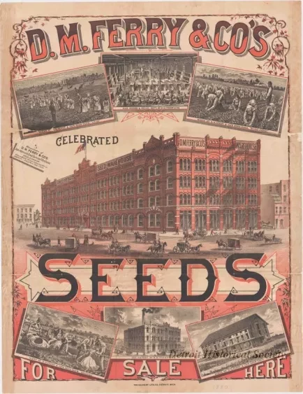 Poster - D.M. Ferry & Co.'s Celebrated Seeds
