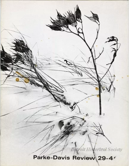 Magazine - Parke-Davis Review, vol. 29, no. 4, 1973