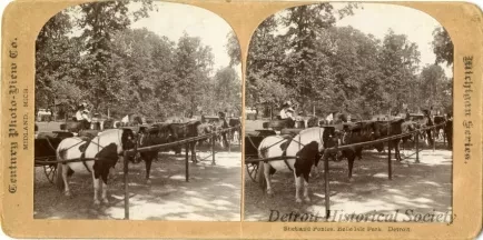 Stereograph