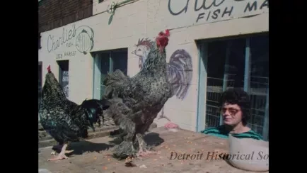 Film, Motion Picture - Urban Comm
Sue City
1 W/P
10508 Neighborhood

Misc Pic's (mos) Neighborhoods
This Is My Home