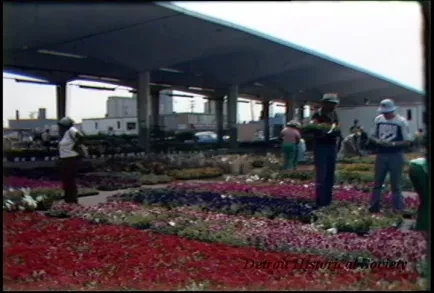 U-Matic - E. Mkt. Flower Day 6-14-83