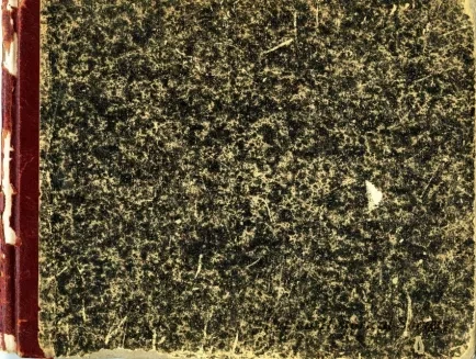 Book, Record - Propositions