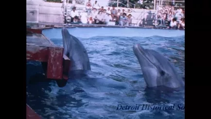 Film, Motion Picture - Aug 30 1-3 Work Print with Taped Sections - Boblo Park - On Lab Cores