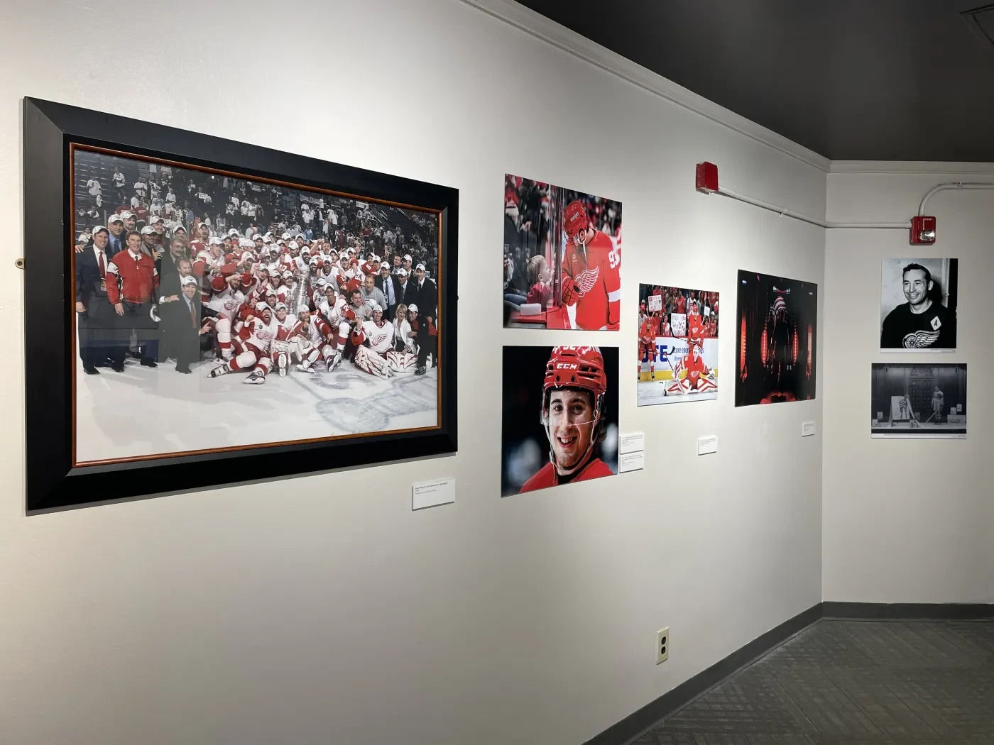 Gallery wall with framed sports photographs and portraits.