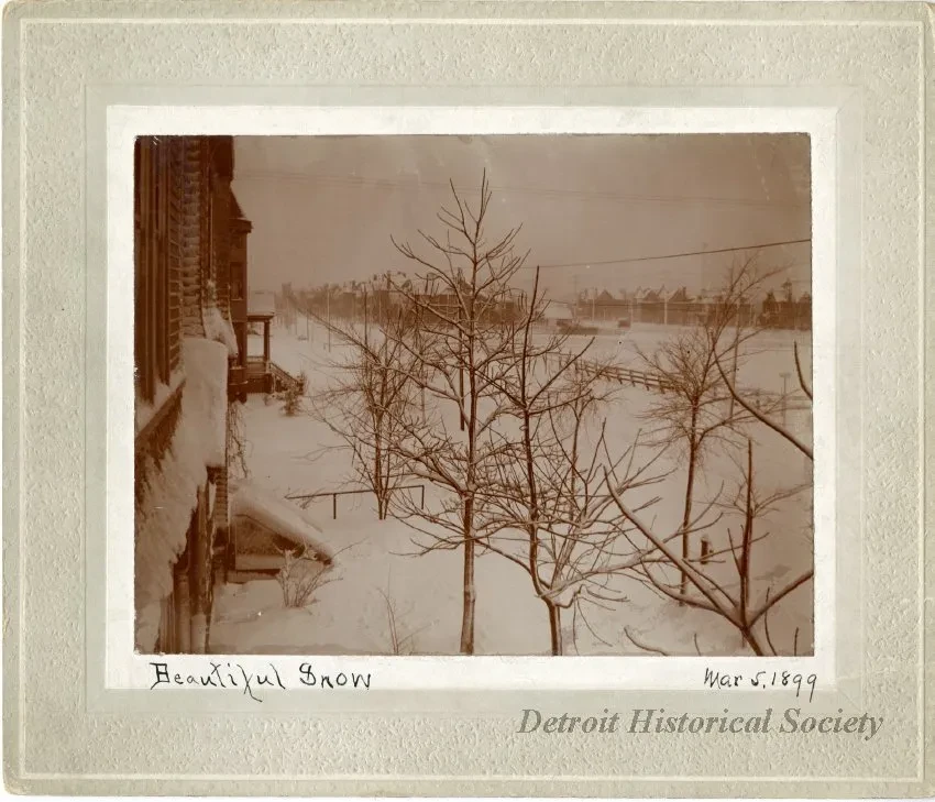 Print, Photographic - Beautiful Snow