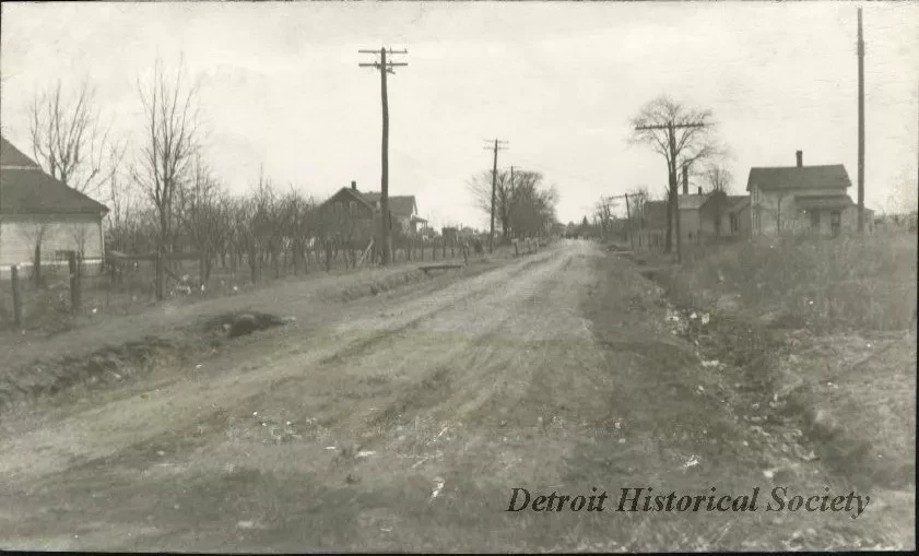 Print, Photographic - Glenfield Avenue