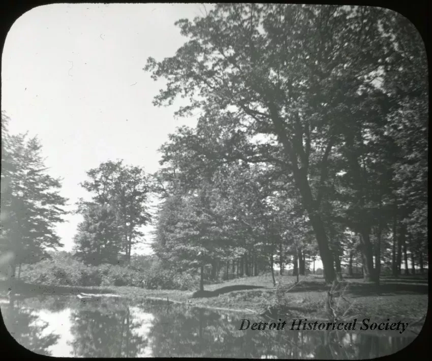 Transparency, Lantern-slide - Cattle Wallow - Palmer Park