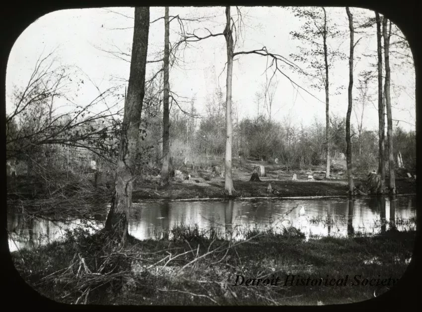 Transparency, Lantern-slide - Near the River Rouge, Sand Hill