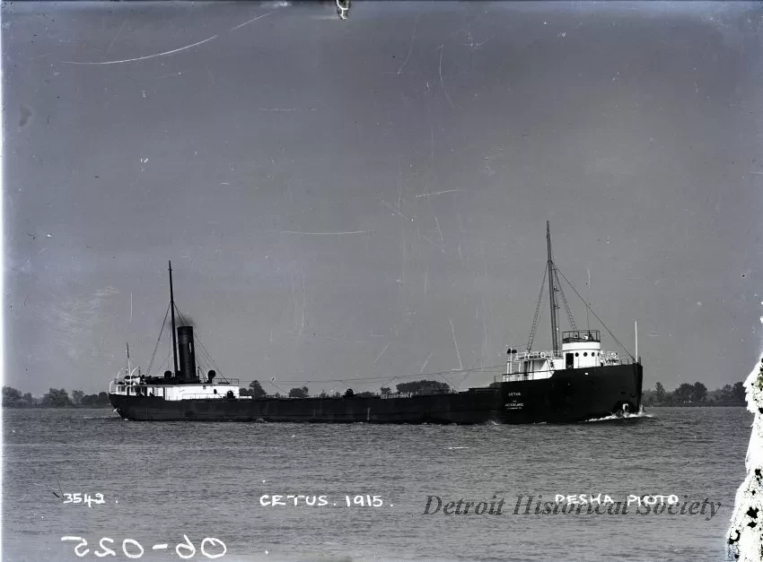 Negative, Glass-plate