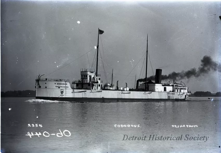 Negative, Glass-plate